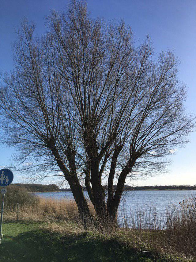 Ferienwohnung Am Noor Nahe Schleswig Und Dem Wikingerdorf Haithabu Fahrdorf  Exterior photo